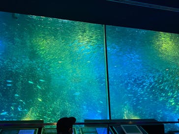 南知多ビーチランド＆南知多おもちゃ王国に投稿された画像（2020/12/19）