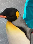 仙台うみの杜水族館に投稿された画像（2020/12/19）