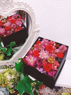 ずこうしつ〜sugamo〜に投稿された画像（2020/12/19）