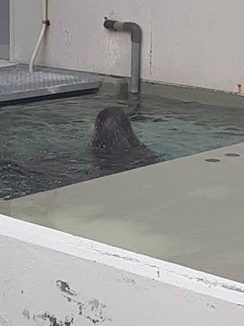 株式会社Gに投稿された画像（2020/12/19）