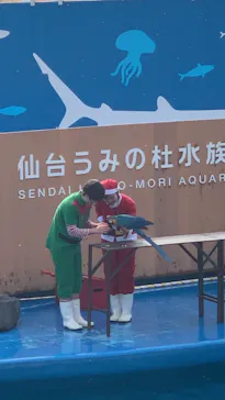 仙台うみの杜水族館に投稿された画像（2020/12/19）