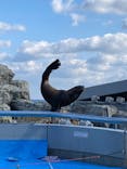 大分マリーンパレス水族館 「うみたまご」に投稿された画像（2020/12/19）