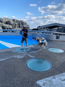 大分マリーンパレス水族館 「うみたまご」に投稿された画像（2020/12/19）