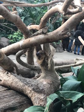 神戸どうぶつ王国に投稿された画像（2020/12/19）