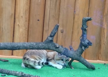 神戸どうぶつ王国に投稿された画像（2020/12/19）