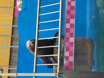 ゼロ距離水族館 伊勢シーパラダイスに投稿された画像（2020/12/19）