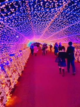 東京メガイルミに投稿された画像（2020/12/19）