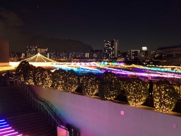 東京メガイルミに投稿された画像（2020/12/19）