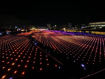 東京メガイルミに投稿された画像（2020/12/19）