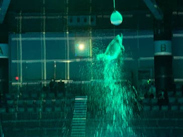 マクセル アクアパーク品川に投稿された画像（2020/12/19）