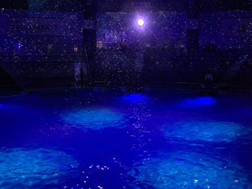 マクセル アクアパーク品川に投稿された画像（2020/12/19）