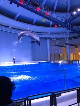 アクアワールド茨城県大洗水族館に投稿された画像（2020/12/19）