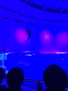 アクアワールド茨城県大洗水族館に投稿された画像（2020/12/19）