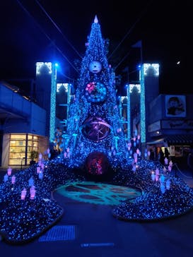 ひらかたパークに投稿された画像（2020/12/19）