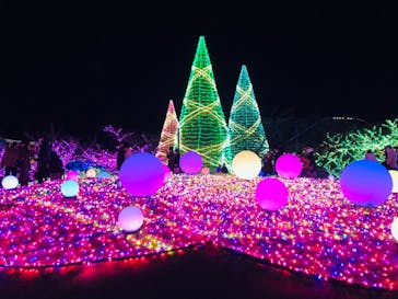 よみうりランド 遊園地に投稿された画像（2020/12/19）