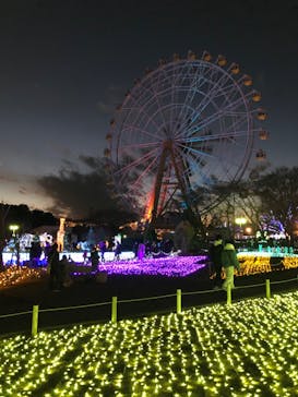東武動物公園に投稿された画像（2020/12/19）