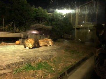 東武動物公園に投稿された画像（2020/12/19）