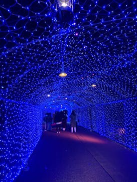 ひらかたパークに投稿された画像（2020/12/19）