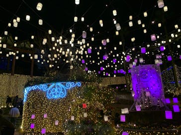 ひらかたパークに投稿された画像（2020/12/19）