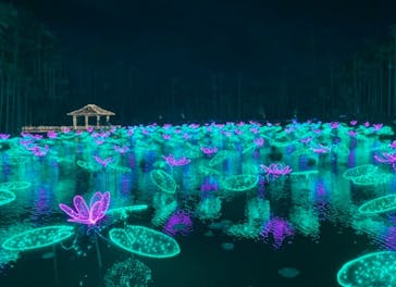 美らヤシパークオキナワ・東南植物楽園に投稿された画像（2020/12/19）