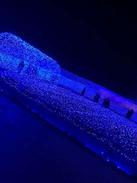 なばなの里に投稿された画像（2020/12/19）