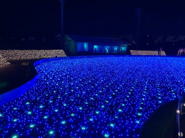 東京メガイルミに投稿された画像（2020/12/19）