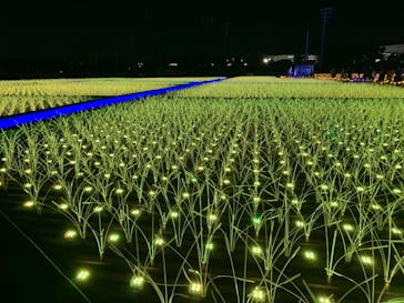 東京メガイルミに投稿された画像（2020/12/19）