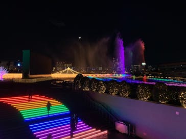 東京メガイルミに投稿された画像（2020/12/19）