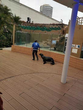 サンシャイン水族館に投稿された画像（2020/12/19）