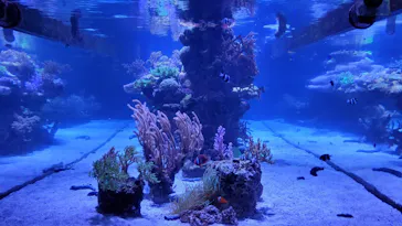 すみだ水族館に投稿された画像（2020/12/19）