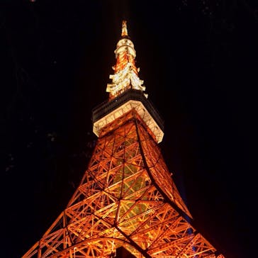 東京タワーに投稿された画像（2020/12/19）