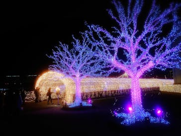 東京メガイルミに投稿された画像（2020/12/19）