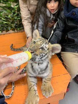 しろとり動物園に投稿された画像（2020/12/19）