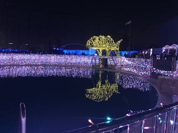 よみうりランド 遊園地に投稿された画像（2020/12/19）