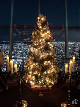 東京スカイツリーに投稿された画像（2020/12/19）