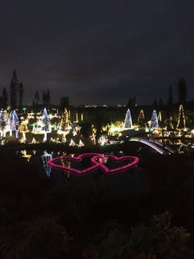 美らヤシパークオキナワ・東南植物楽園に投稿された画像（2020/12/19）