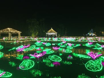 美らヤシパークオキナワ・東南植物楽園に投稿された画像（2020/12/19）
