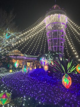 江の島シーキャンドルに投稿された画像（2020/12/19）