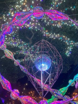 江の島シーキャンドルに投稿された画像（2020/12/19）