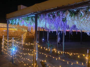 東京メガイルミに投稿された画像（2020/12/19）