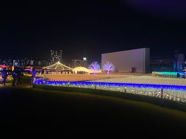 東京メガイルミに投稿された画像（2020/12/19）