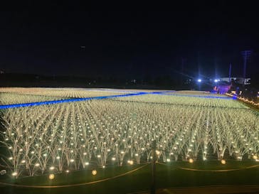 東京メガイルミに投稿された画像（2020/12/19）