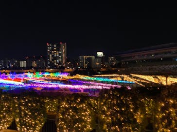 東京メガイルミに投稿された画像（2020/12/19）