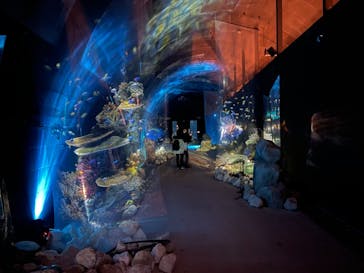 NESTA RESORT KOBE（ネスタリゾート神戸）に投稿された画像（2020/12/19）