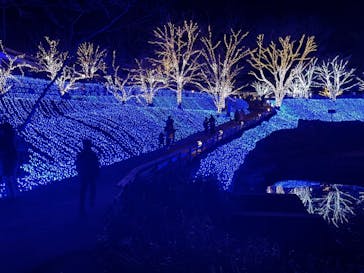 NESTA RESORT KOBE（ネスタリゾート神戸）に投稿された画像（2020/12/19）