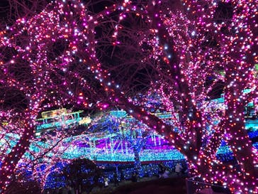 よみうりランド 遊園地に投稿された画像（2020/12/19）