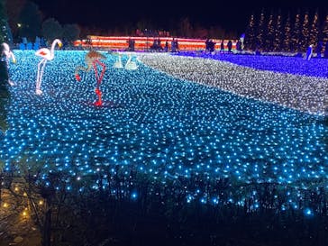 東武動物公園に投稿された画像（2020/12/19）