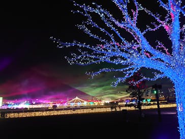 東京メガイルミに投稿された画像（2020/12/19）