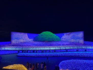 なばなの里に投稿された画像（2020/12/19）