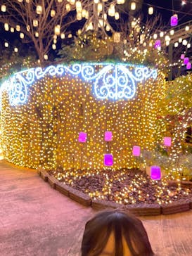 ひらかたパークに投稿された画像（2020/12/19）